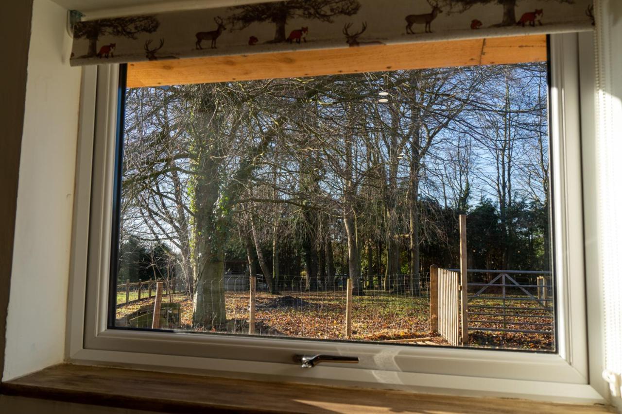 Rose Hideaway - Forest Of Dean Cosy Cabin Retreat Yorkley Eksteriør billede